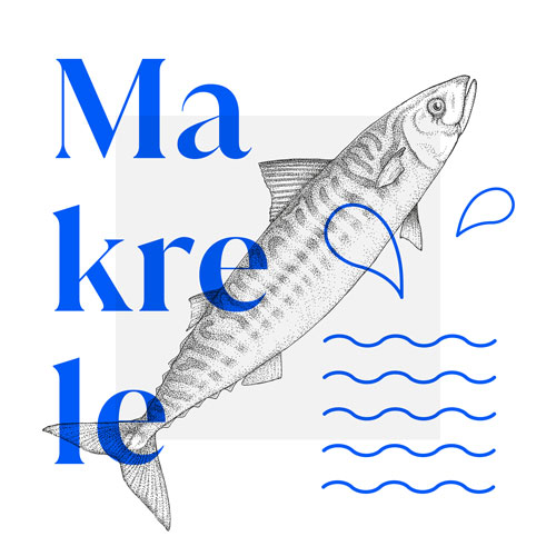 Makrele - Mockup